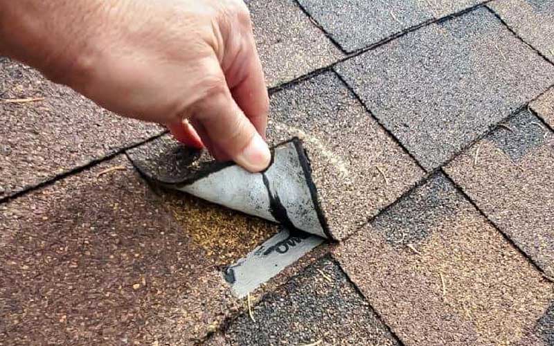 Roofing Services Differ