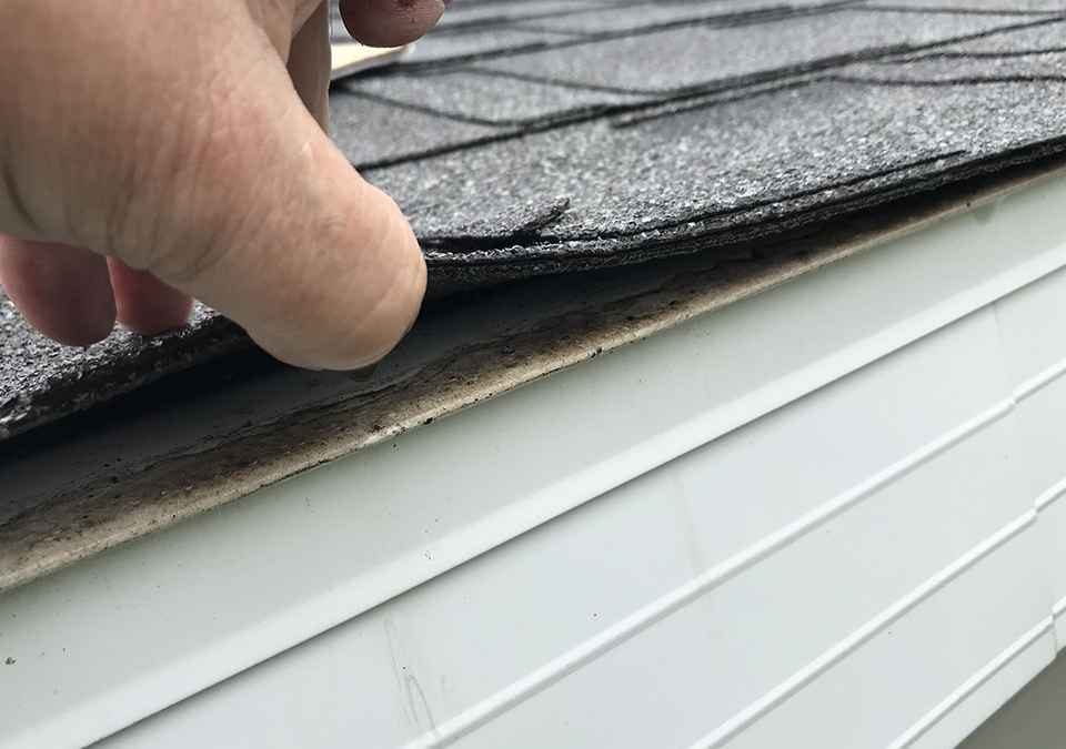 4 Things to Know if my Asphalt Shingle Roofs Are Bad?