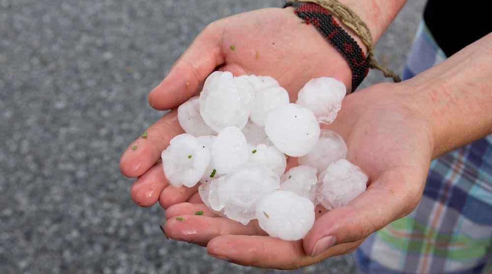 Resident in Aurora, CO is holding golf ball-sized hail