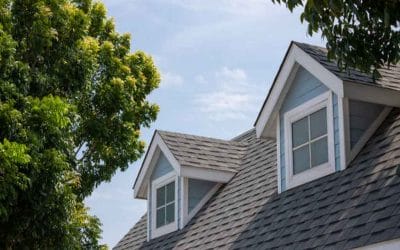 Why Denver Homeowners Should Consider Roof Rejuvenation