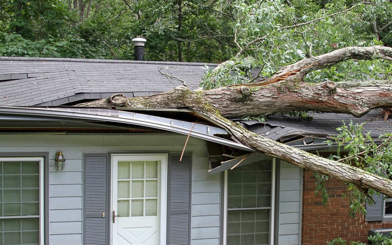 What to Do If a Storm Damages Your Home in Denver